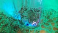 /album/fotogalerie-reference/img-20170419-101118-1cs-jpg/